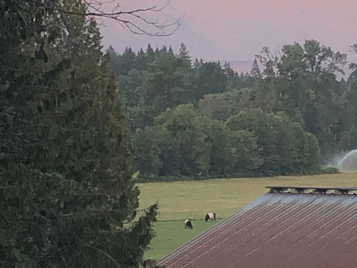 Summer in the&nbsp;Valley