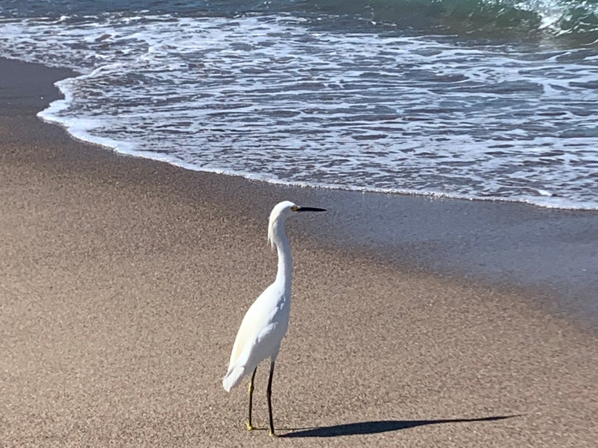 Meanwhile….Life Happened.